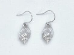 Conch drops
